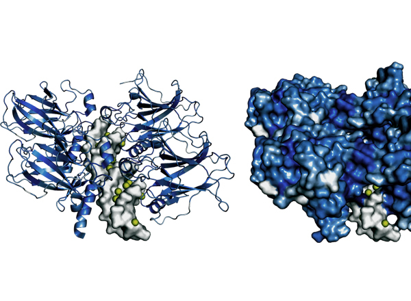 How Physics and Thermodynamics Help Assess DNA Defects in Cancer