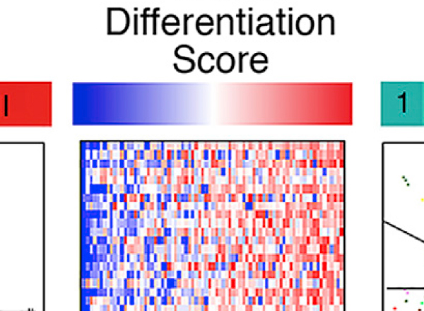 New TCGA Publication in ‘Cancer Cell’