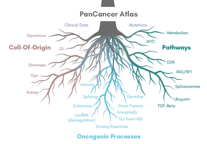 PanCan