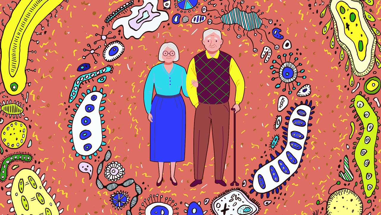 Gut Microbiome Implicated in Healthy Aging and Longevity - Institute ...
