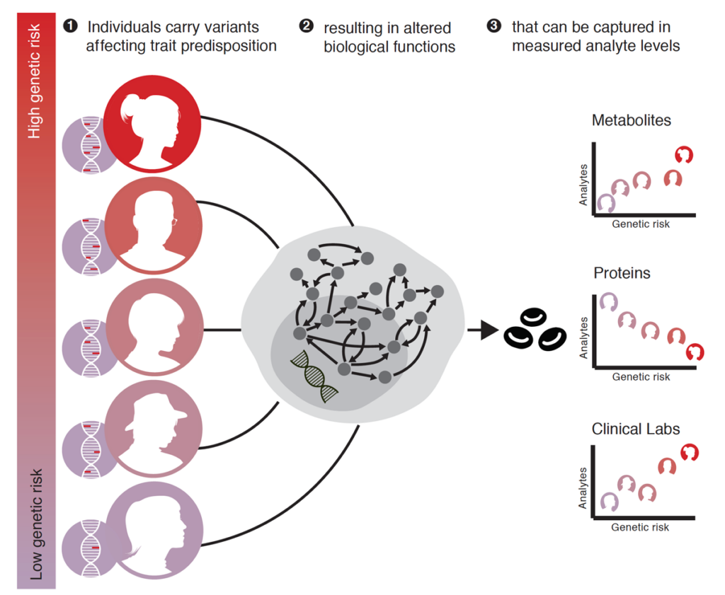 Genetic Risk Study Overview