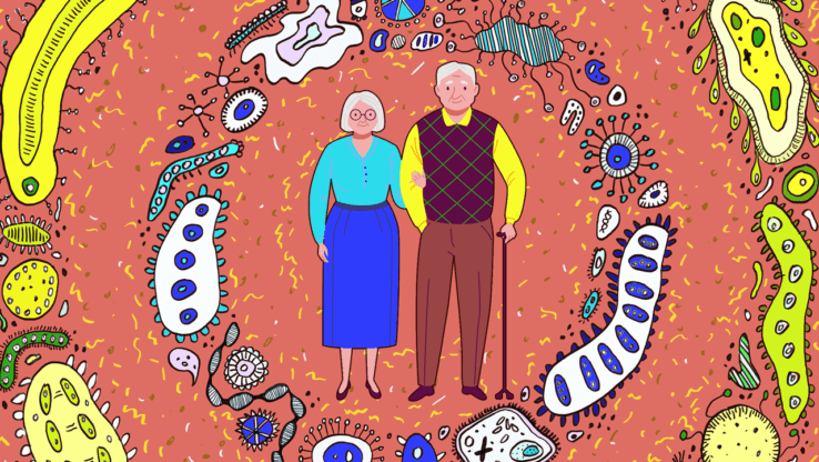 The Aging Microbiome