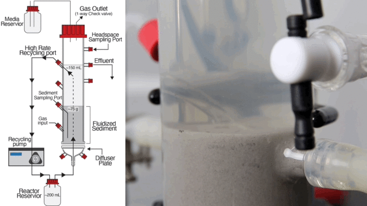 Fluidized bed reactor