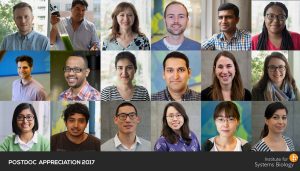 Postdoc Appreciation 2017