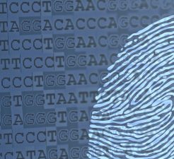 Genome fingerprinting