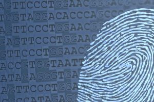 Genome fingerprinting