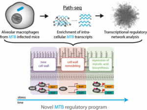 Path-seq illustration