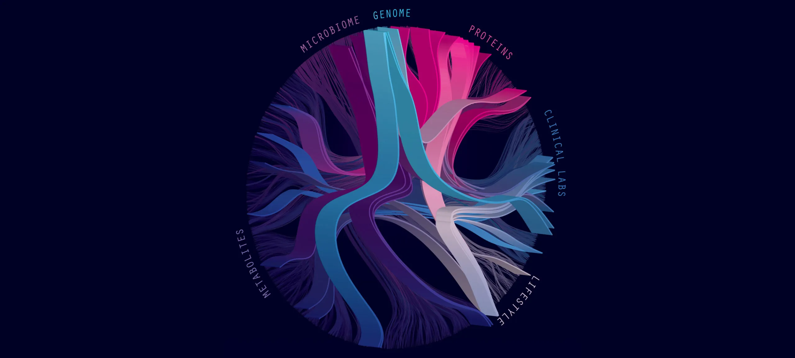 metabolism graphic