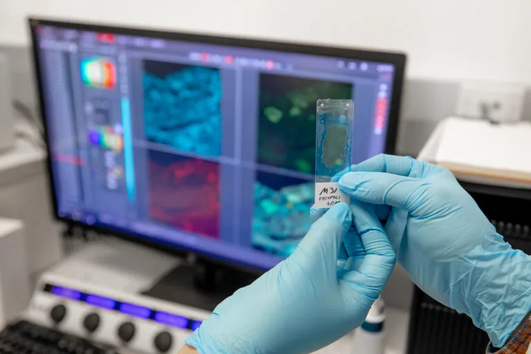 hands in a lab holding materials