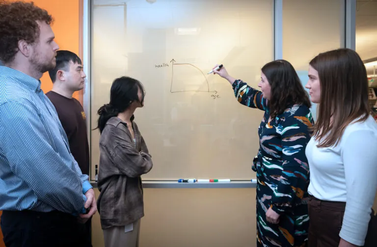 woman writing on a white board