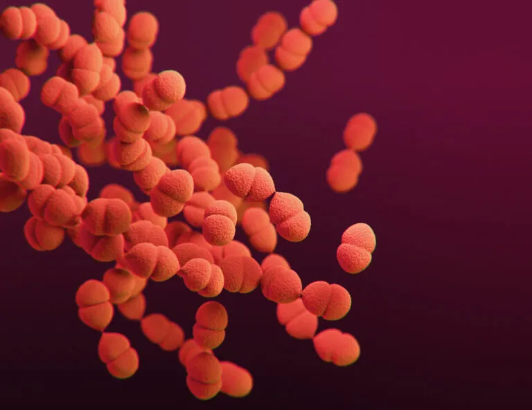strep graphic