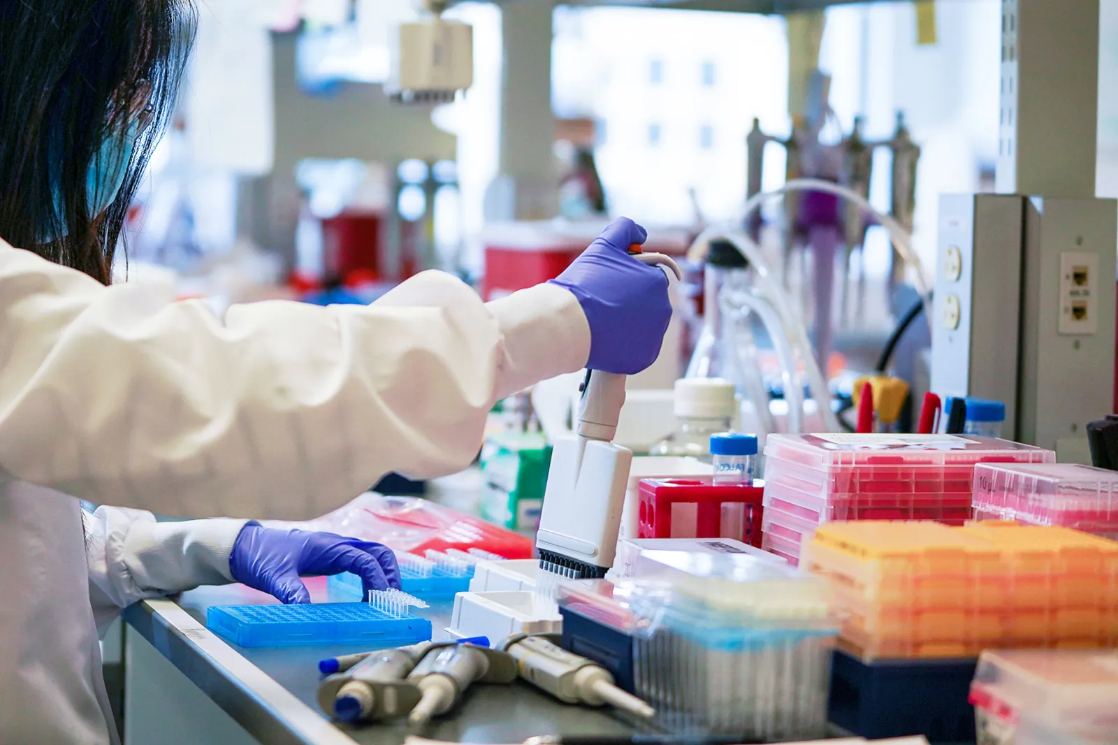 scientist at work in the ISB lab