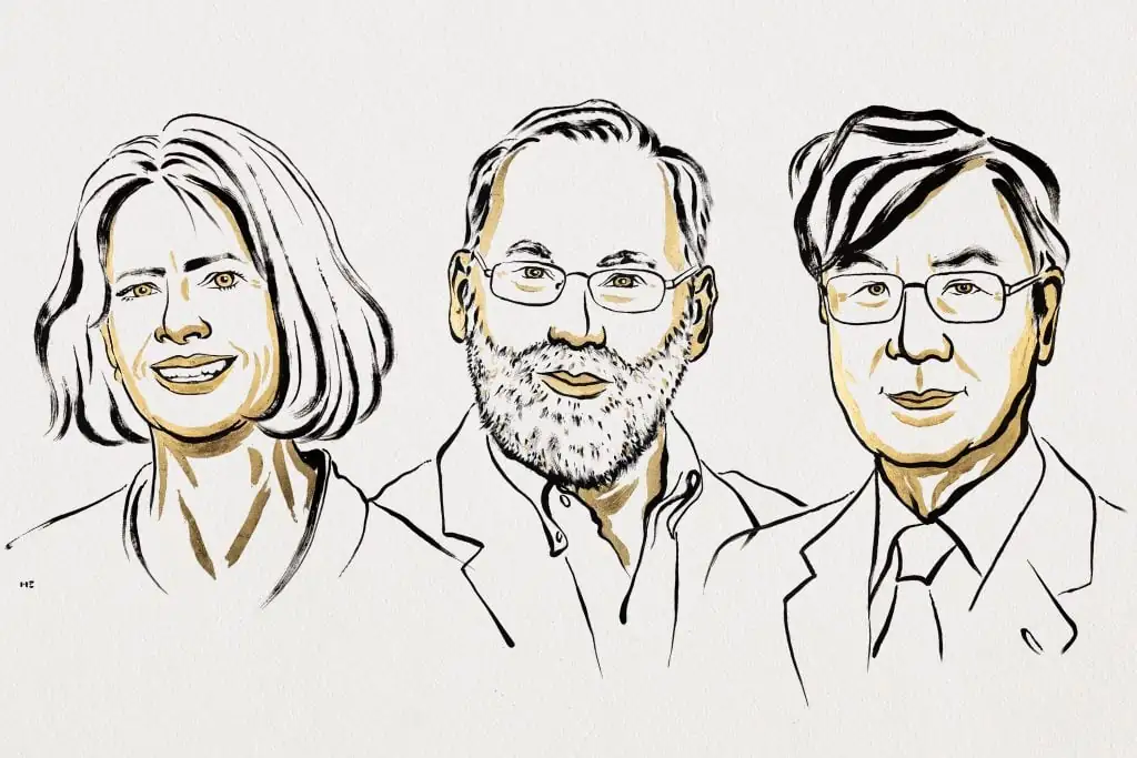 Illustration of Drs. Mary Brunkow, Fred Ramsdell, and Shimon Sakaguchi, recipients of the 2025 Nobel Prize in Physiology or Medicine.