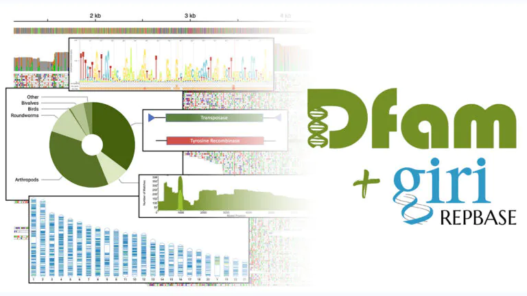 A digital composite illustration showing the Dfam and Giri Repbase logos as well as various scientific figures from publications.