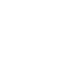 Date Icon