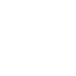 Speaker Icon